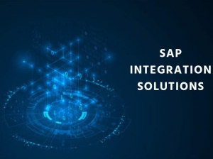 SAP Integration service | SAP Integration software |Dynamo